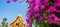 Blooming Bougainvillea flowers in front of Luang Prabang National Museum, Laos