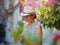 Blooming bougainvillea, streets of the old town of Bodrum, Turkey