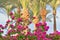 Blooming bouganvillea and palm trees on the background