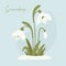 Blooming bouquet of spring snowdrop flowers in snow. Gentle forest white flower common snowdrop. Vector illustration.