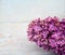 A blooming branch of lilacs. Lilac flowers on a light background. A bunch of lilac flowers