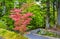 Blooming bush at Nikko heritage site