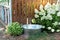 Blooming bushes white hydrangea and old iron bowl on the backyard of wooden house, summer decoration outdoor terrace. Galvanized b