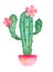 Blooming cactus branches in a pink pot with flowers, watercolor drawing