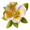 Blooming Cherokee Rose: White & Yellow Floral Illustration.