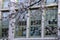 Blooming cherry branches frame campus doors and windows - 3