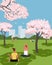 Blooming cherry city park recreation zone vector