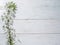 Blooming cherry twig over old table.