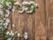 Blooming cherry twig over old wood.