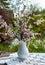 Blooming chery sprigs in the white vaze on blurry natural background with garden lantern