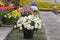 Blooming colourful flowers in pots. Tulips, roses and narcissus in bloom