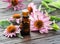 Blooming coneflower heads and bottle of echinacea oil on wooden background close-up