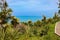 Blooming Cordyline australis trees cabbage tree, cabbage-palm on a background of the Black sea in Batumi botanical garden