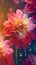 Blooming dahlia flowers with drops of water close-up background. Floral wallpaper.