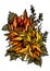 Blooming, drawn graphic bouquet, orange plants of autumn with big petal and leaves close-up