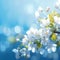 Blooming elegance Spring branch with white flowers on blue bokeh