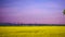 Blooming field of canola flowers at the pink sunset. countryside landscape with moving train on a background