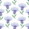 Blooming field cornflowers watercolor seamless pattern.