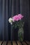 Blooming flower in vase. Fluffy peonies bouquet on dark grey background.