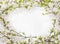 Blooming (flowering) tree branches as round frame on white - spring background