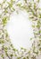 Blooming (flowering) tree branches as round frame on white - spring background