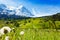 Blooming flowers with beautiful Swiss landscape