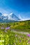 Blooming flowers with beautiful Swiss landscape