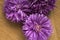 Blooming flowers, three buds of aster, on a wooden board