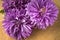 Blooming flowers, three buds of aster, on a wooden board