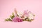 Blooming freesia flowers on pink background