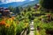 blooming gardens in a sunlit mountain village