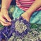 Blooming healing lavender plants  ready to bid into bunch