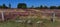 Blooming heathland with barn, fence and tree trunk