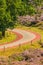 Blooming heathland with road at the Dutch Veluwe national park