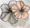 Blooming hibiscus flower, hand-drawing. Vector illustration.