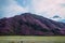 Blooming hill against blue sky with light white clouds in the middle of the plain. Spring flowers in the Altai mountains