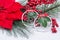 Blooming Holiday Red Poinsettia, Pine and Berry bush and ornament decoration in form of green leaf and sign hope and peace