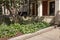 Blooming hostas outside an old brownstone entry