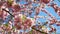 Blooming Japanese Cherry Blossoms or Sakura Flowers in Spring on blue sky background