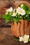 Blooming jasmine in a basket