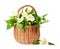 Blooming jasmine in a wicker basket