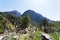 Blooming landscape of the Samaria Gorge