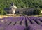 Blooming Lavender Field In Front Of The Ancient Abbey Abbaye De Senanque In The High Plain Vaucluse Near Valensole France