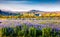 Blooming lupine flowers near amazing Skogafoss waterfall in south Iceland, Europe.