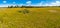 Blooming meadow of Tierra del Fuego