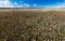 Blooming meadow of Tierra del Fuego in Argentina