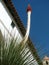 Blooming Mexican Grass Tree or Dasylirion quadrangulatum plant in front of Santa Barbara Mission building. California, USA