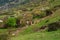 Blooming mountain garden in spring. Mountain village in spring greenery. Picturesque ethnic houses on a mountain slope. Dagestan