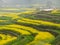 Blooming Mustard Fields of Nepal