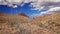 Blooming Ocotillo in Big Bend National Park